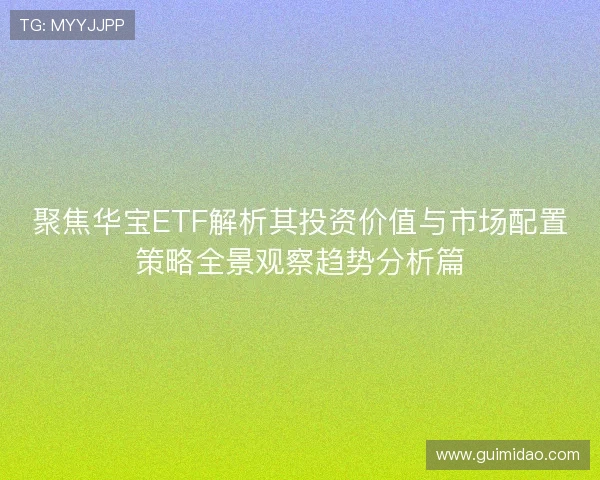 聚焦华宝ETF解析其投资价值与市场配置策略全景观察趋势分析篇